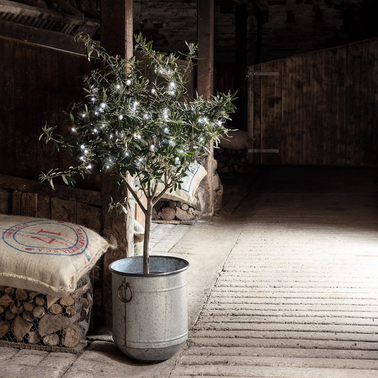 LL50W_50-White-Outdoor-Battery-Lights-olive-tree-barn_P3.jpg