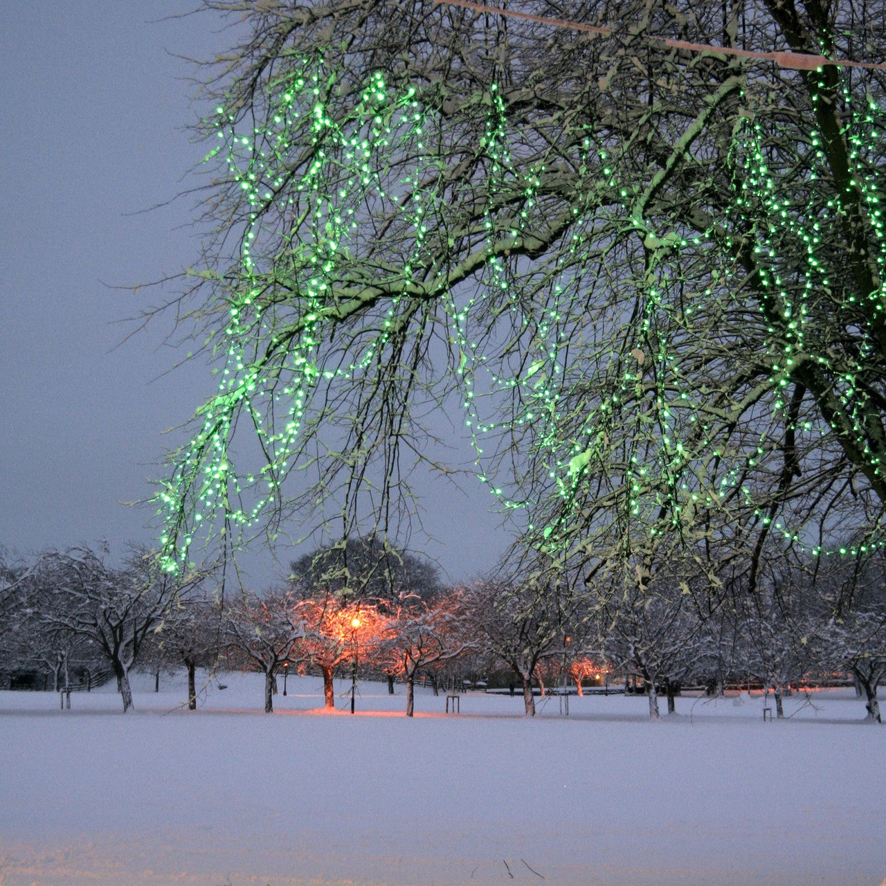 Core Connect 10m 100 Green Connectable Fairy Lights Clear Cable