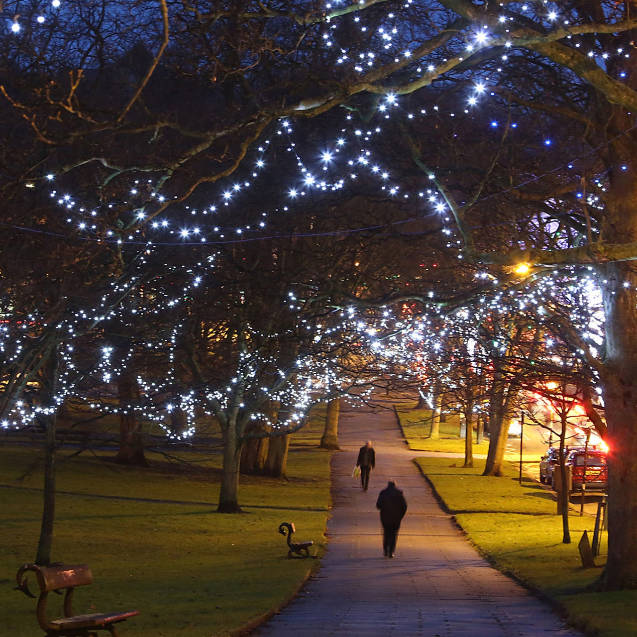 ML100WG_White-Low-Voltage-Christmas-Lights_P2_ccf6a391-55d0-4728-870b-299ac6f2e4ca.jpg