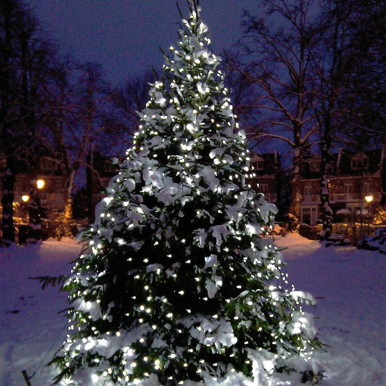 ML140WG_White-Net-Light_P7_6f4b8ec4-cbb9-4a50-92c9-943687f249f2.jpg