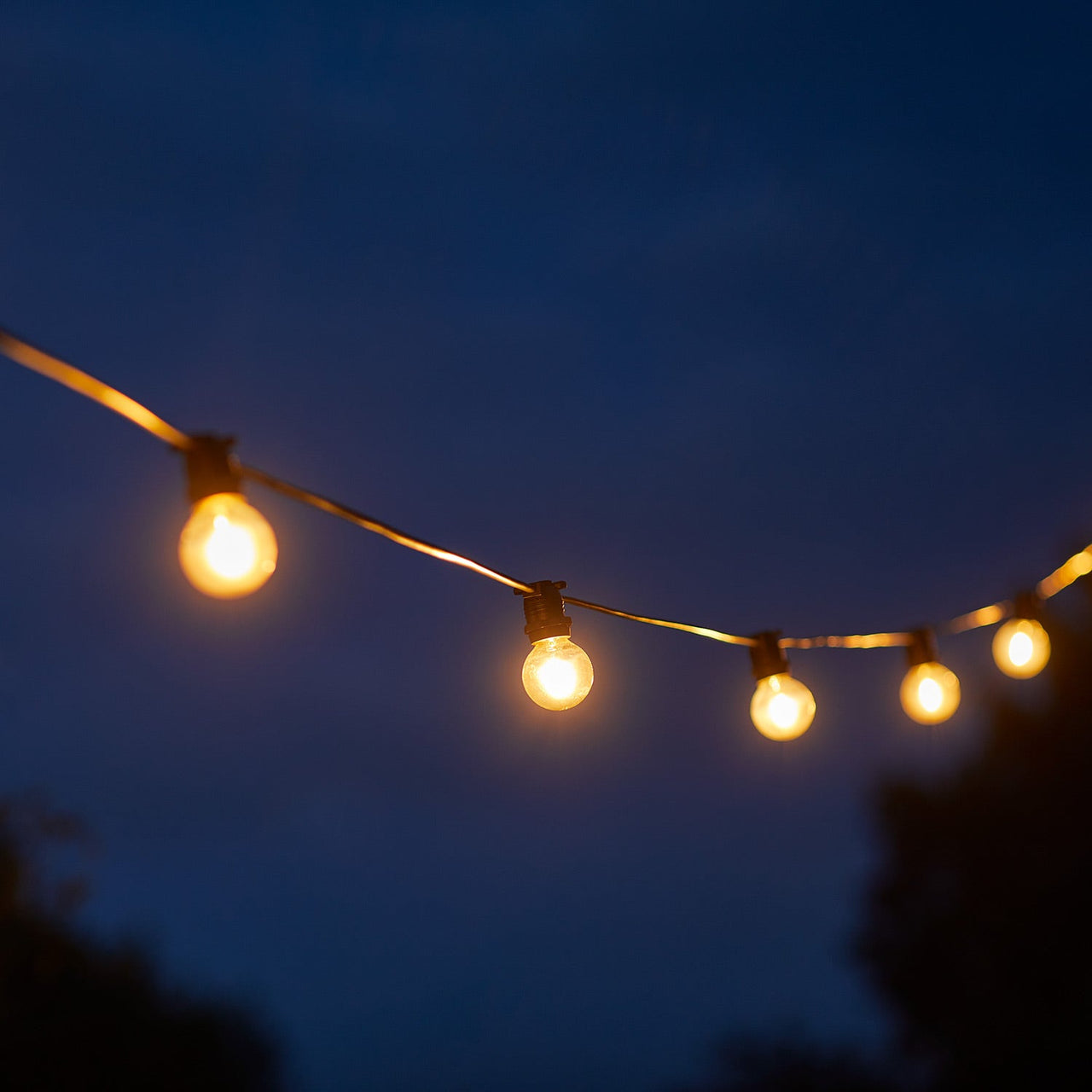 20 Warm White Plug In Outdoor Festoon Lights