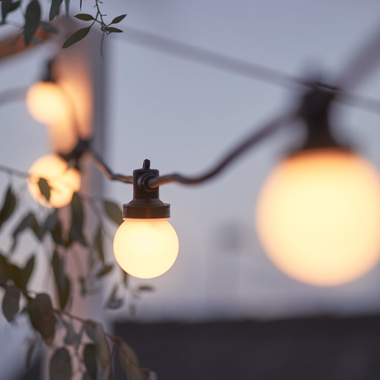 PR10-2YWB_pro-connect-5m-10-warm-white-connectable-festoon-lights-black-cable-close-up.jpg