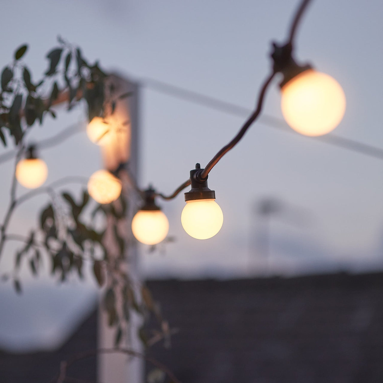 PR10-2YWB_pro-connect-5m-10-warm-white-connectable-festoon-lights-black-cable.jpg