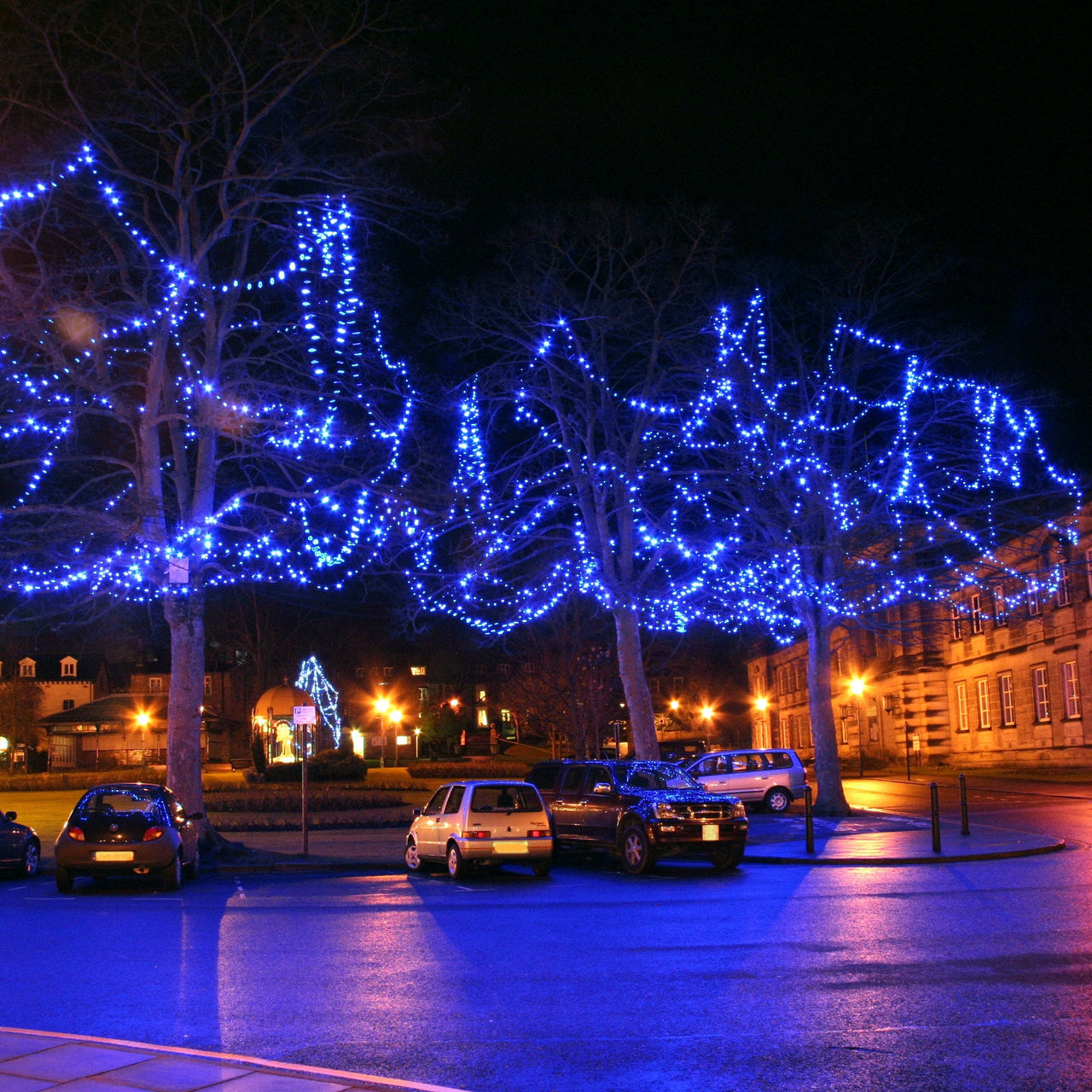 PR50BB_Blue-LED-Christmas-Lights-trees_P4_b68f2f77-cdf3-4953-b3a2-1ce0ca437924.jpg