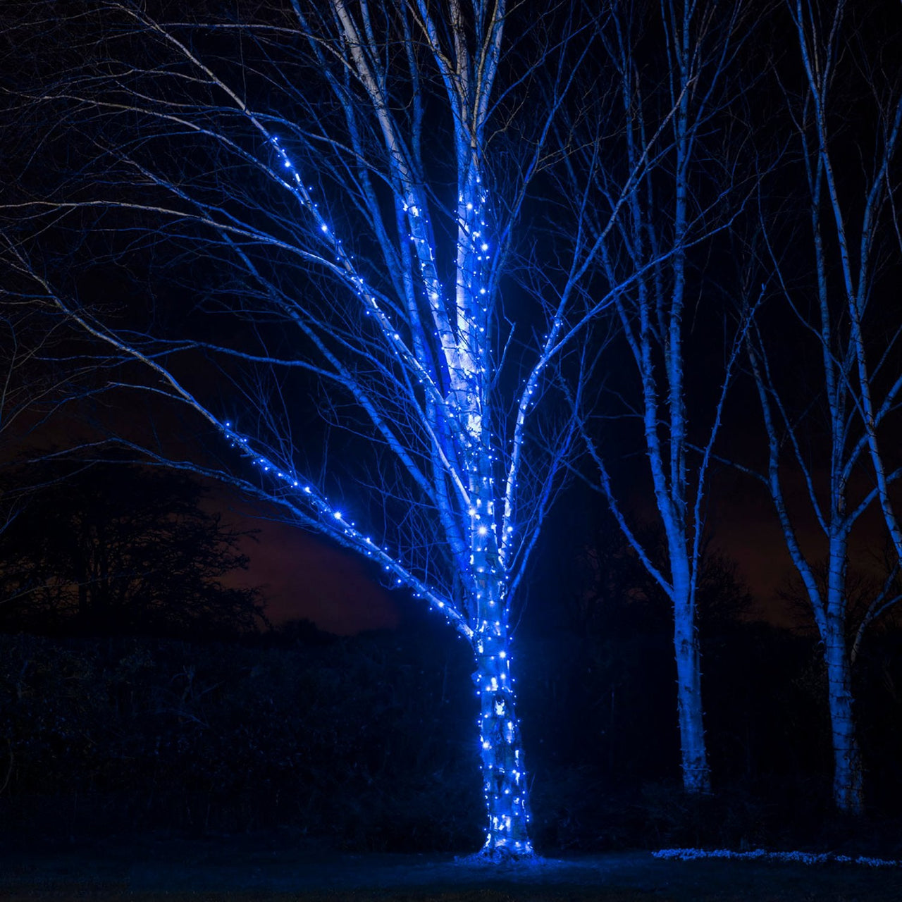Pro Connect 135m 1350 Blue Connectable String Lights Black Cable
