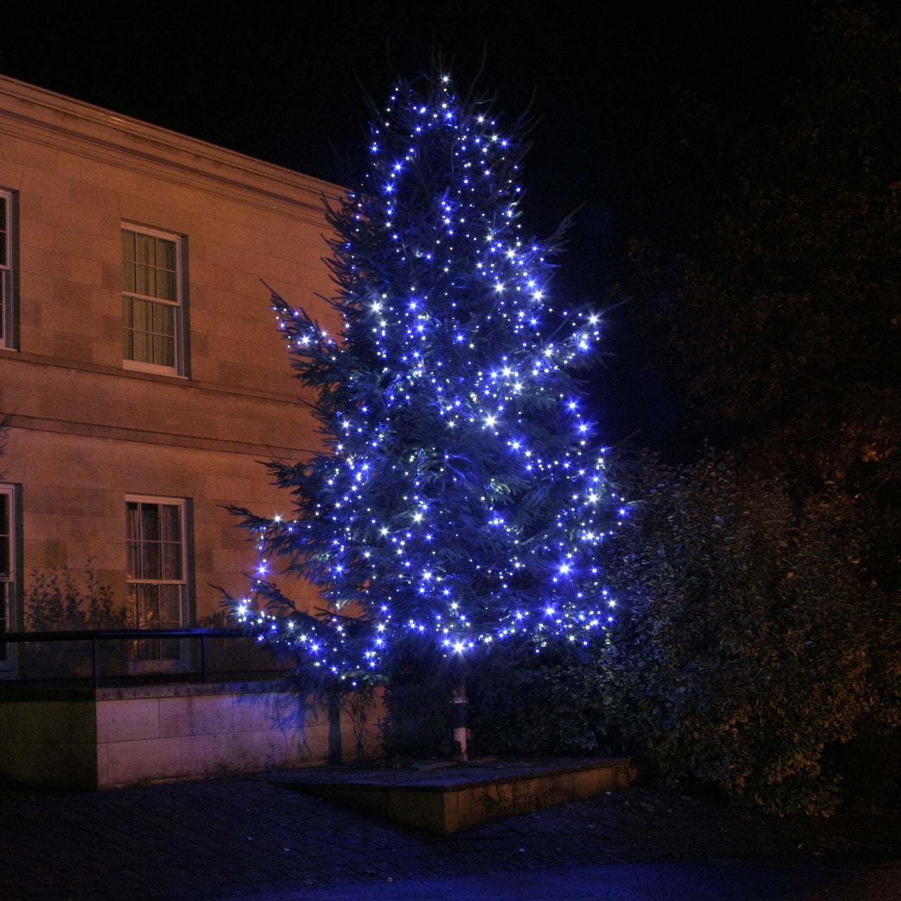 PR50BWB_Blue-White-Christmas-Lights-Outdoor-Tree_P6.jpg