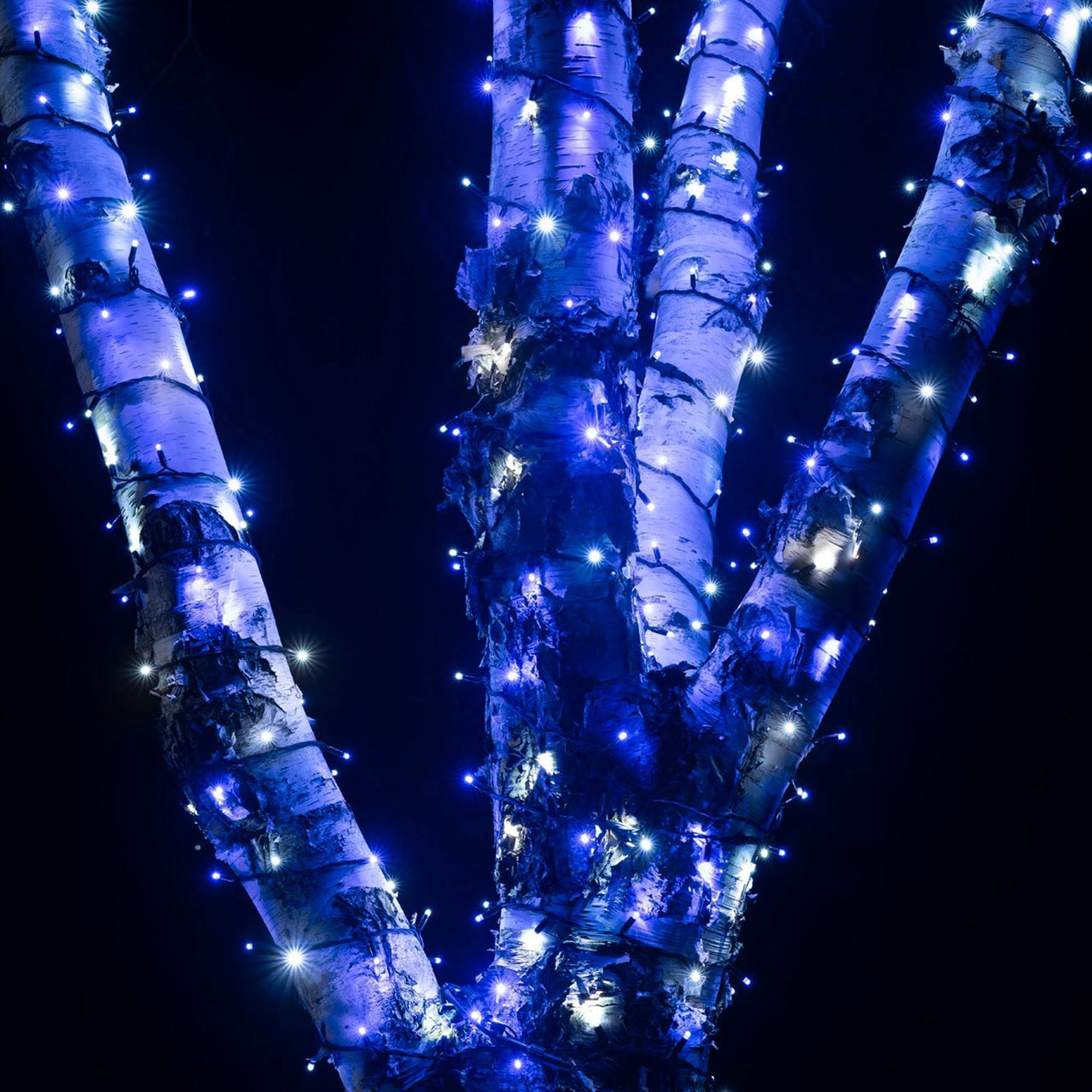 Pro Connect 40m 400 Blue & White Connectable String Lights Black Cable