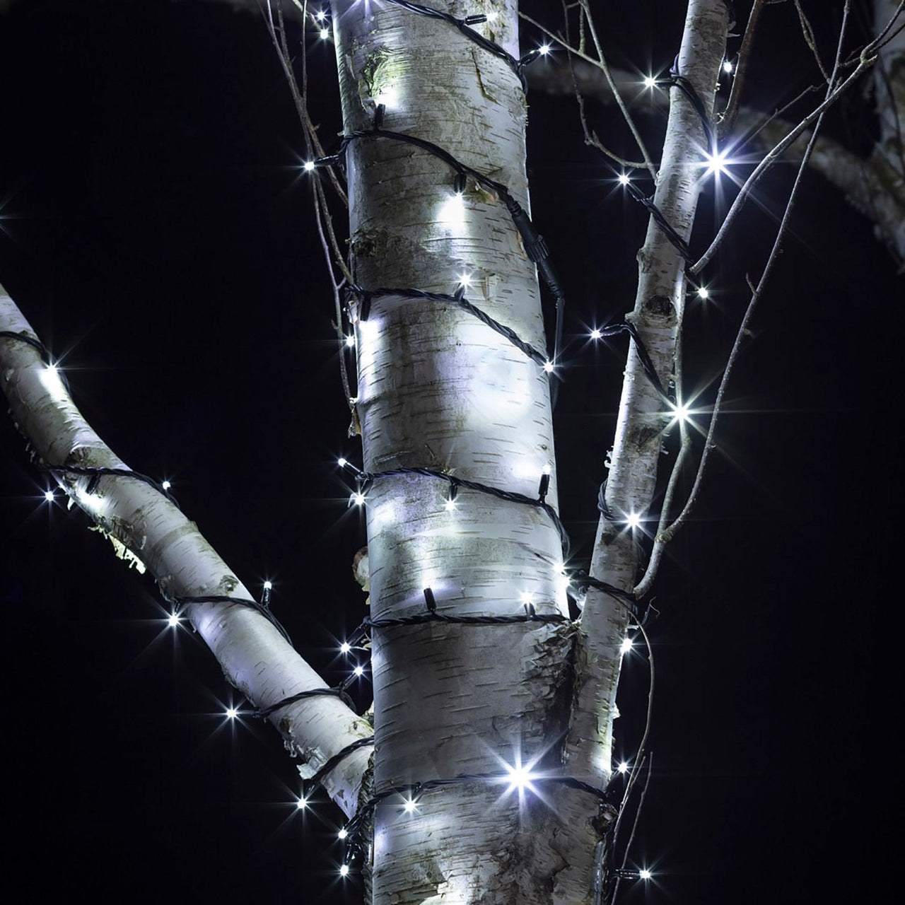 PR50WB_White-String-Lights-Black-Cable-LED-Outdoor-Garden-Tree-Close_b2ff167a-3d3e-4533-9d3c-a5fb734fa877.jpg