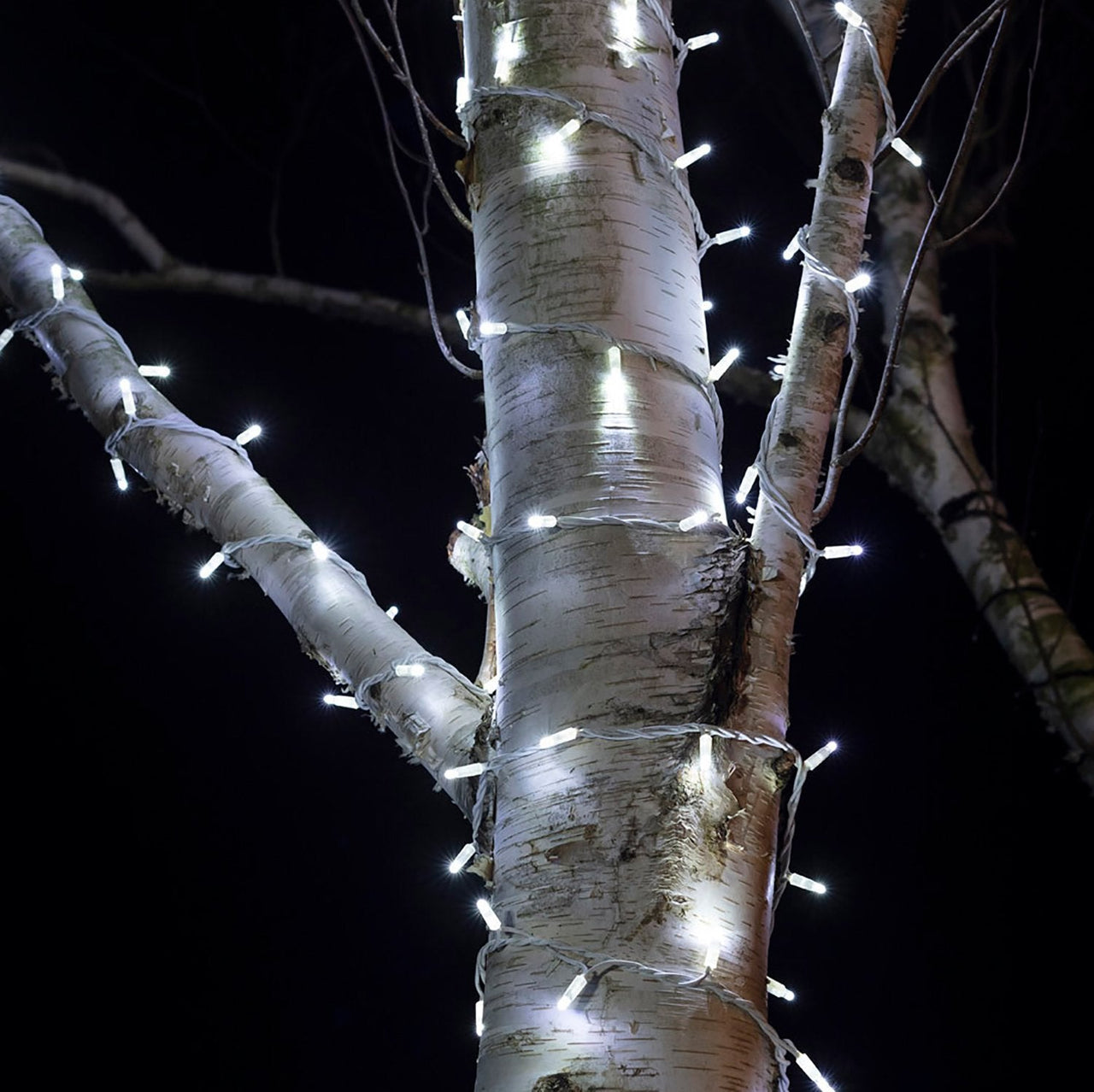 PR50WW_White-LED-Outdoor-Christmas-Lights-String-Lights-Tree-Close_c0f1c418-00d2-45f1-b425-c8df77fbf3c2.jpg