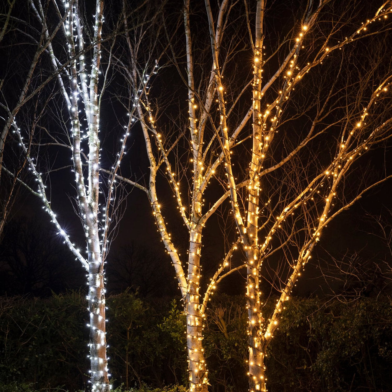 PR50WW_White-LED-Outdoor-Christmas-Lights-String-Lights-Tree-Group_99d8052e-91c0-4374-8809-3bb5f18ce59d.jpg