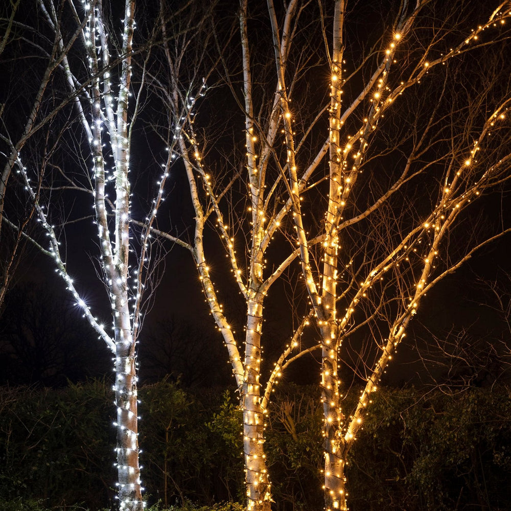 PR50WW_White-LED-Outdoor-Christmas-Lights-String-Lights-Tree-Group_1f4e62b9-0fdf-43bf-9b7a-853d78f1bf0f.jpg