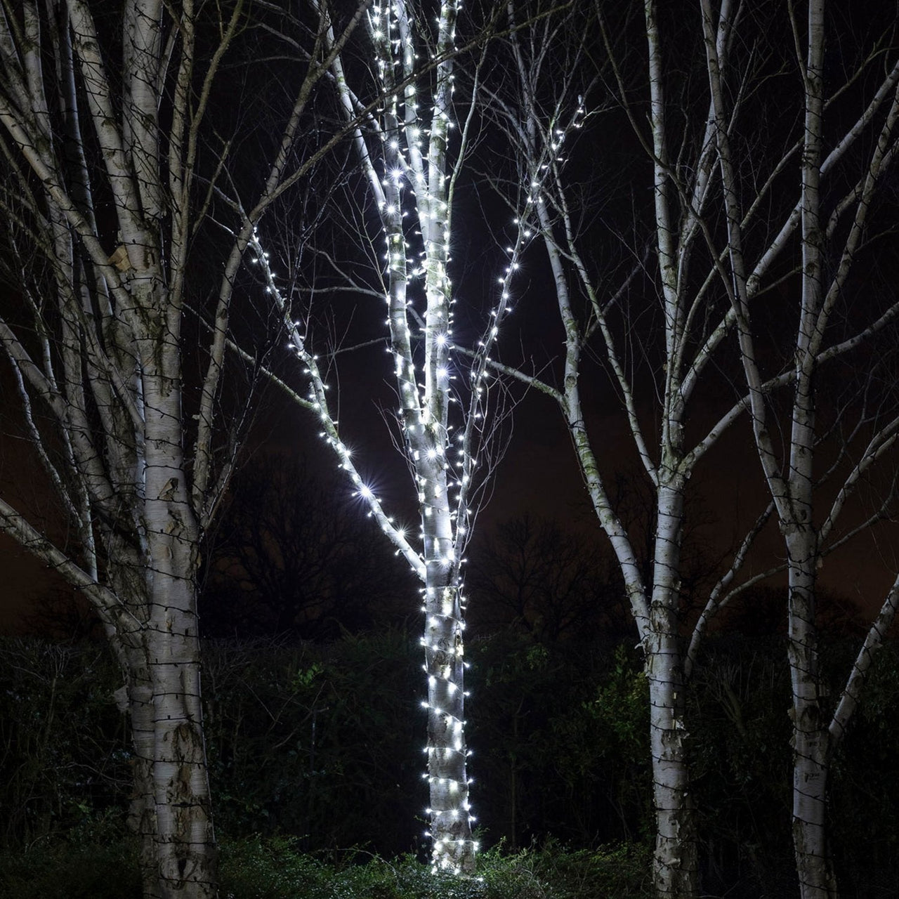 PR50WW_White-LED-Outdoor-Christmas-Lights-String-Lights-Tree_46fc2308-343d-4792-9edf-f10e772c7790.jpg