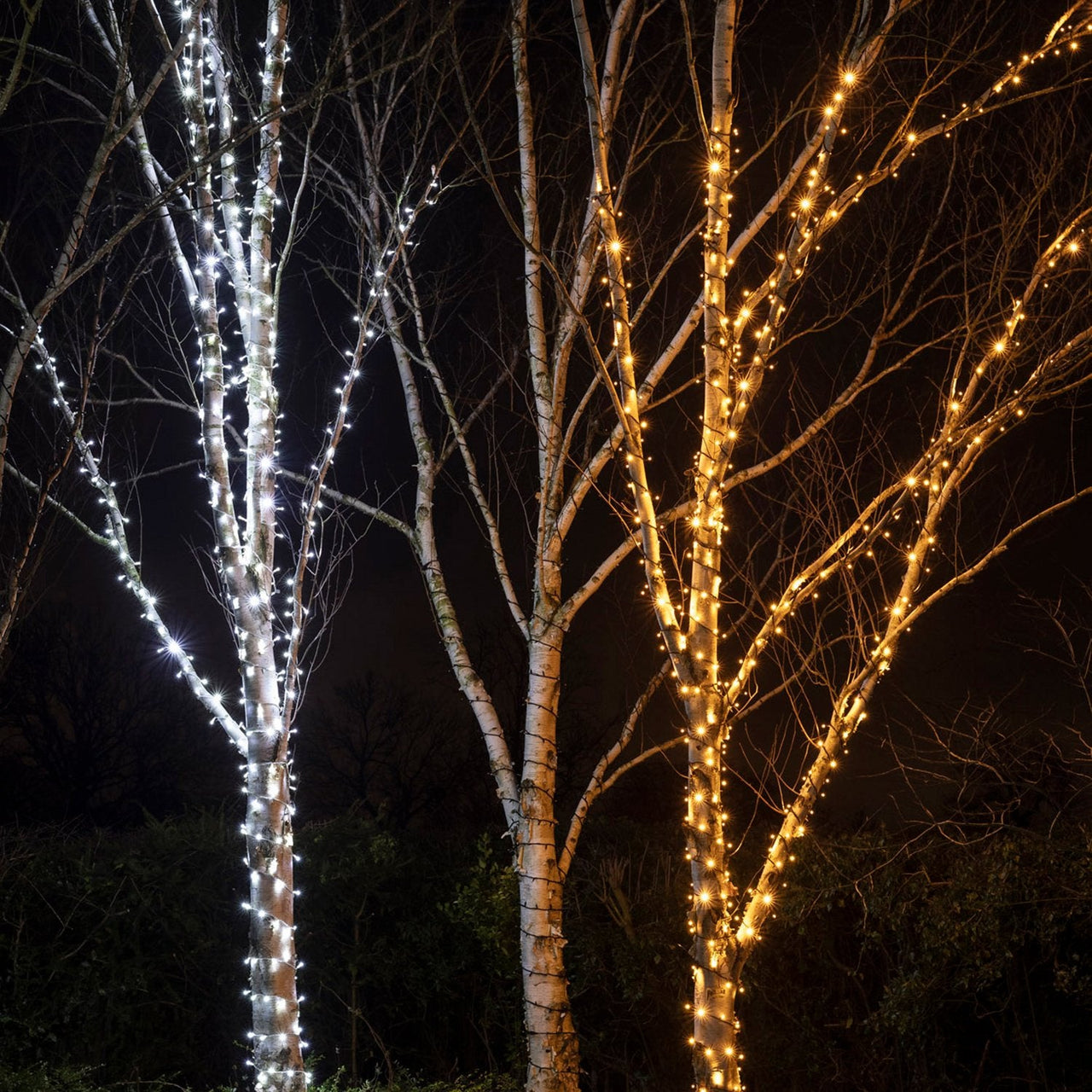 PR50YWB_Warm-White-Christmas-Tree-Lights-Outdoor.jpg