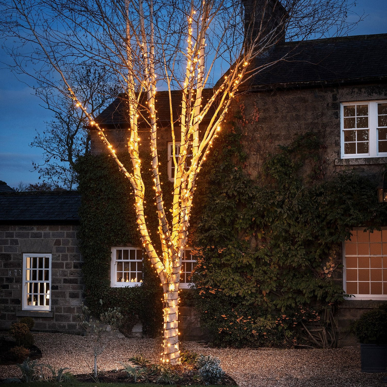 PR50YWB_Warm-White-Outdoor-String-Lights-Black-Cable-Tree_bf21c388-1ca7-4c33-a952-9c6af2dbe783.jpg
