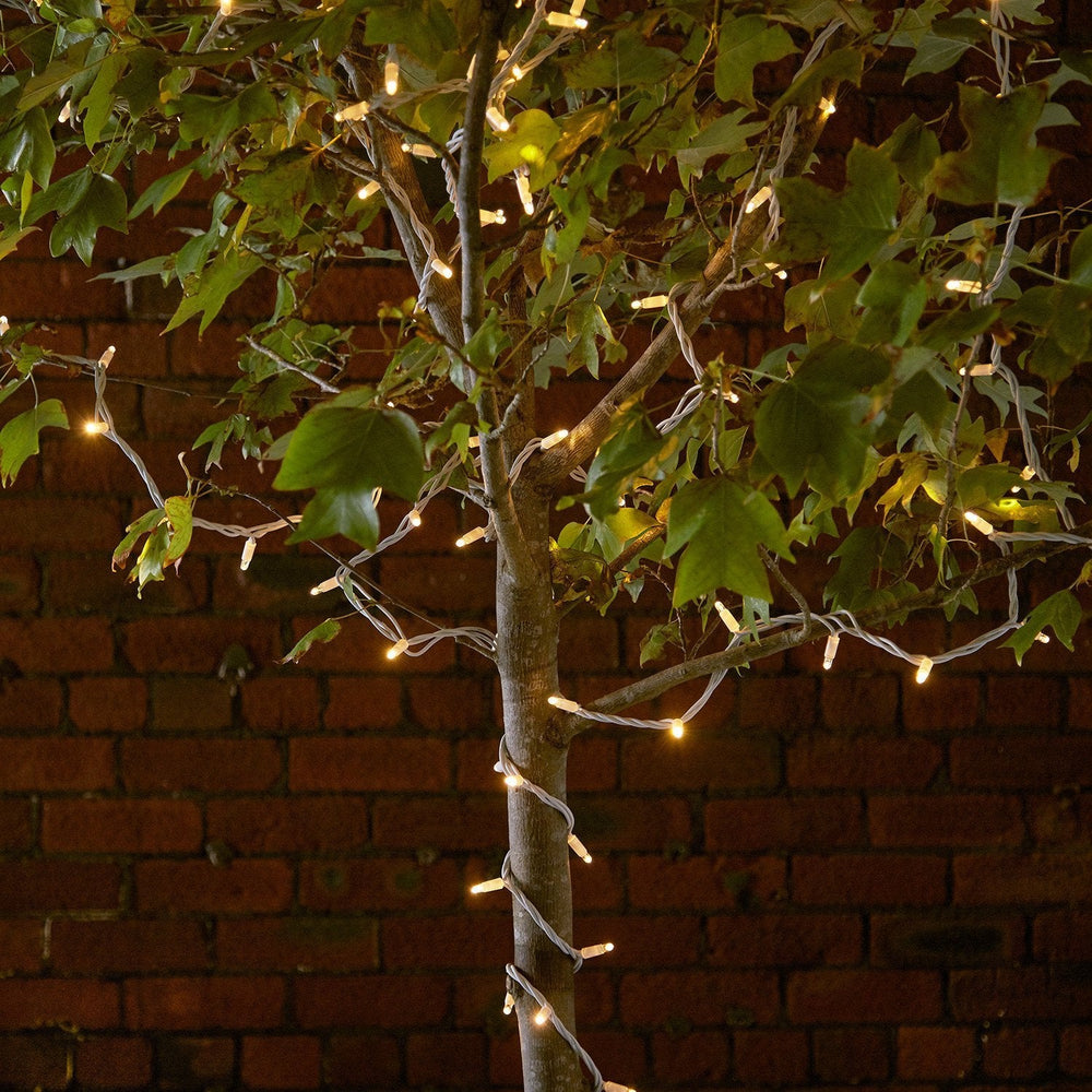 Pro Connect 145m 1450 Traditional Warm White Connectable String Lights White Cable
