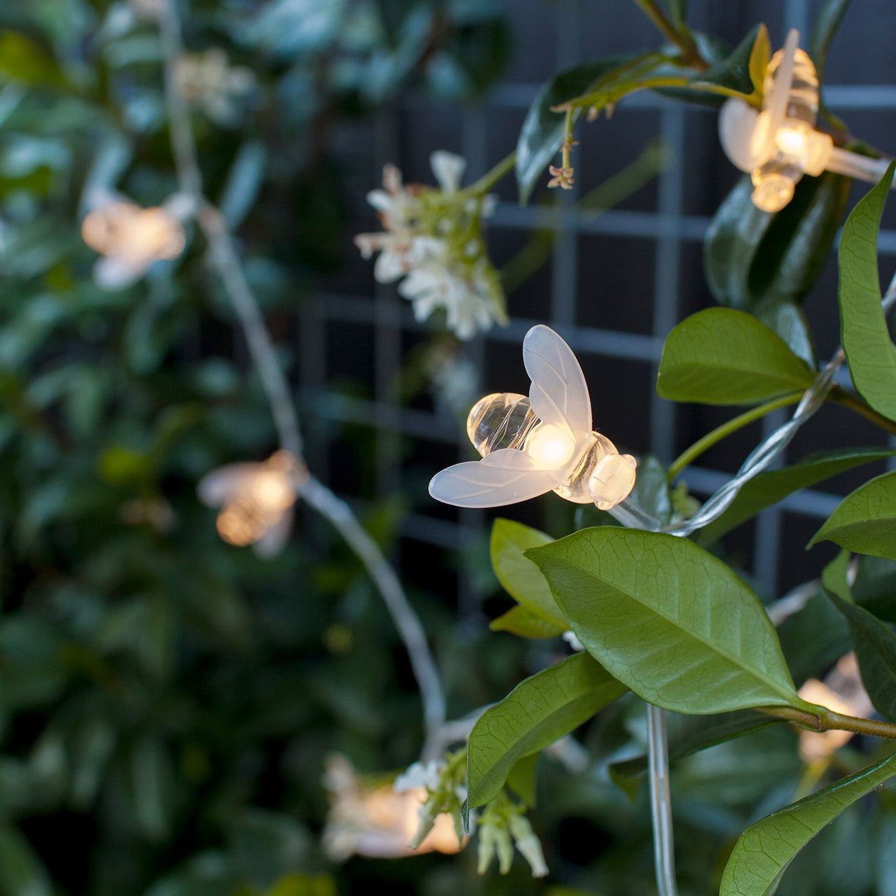 SL17009_Outdoor-Solar-Bee-Fairy-Lights-Garden_P2-01.jpg