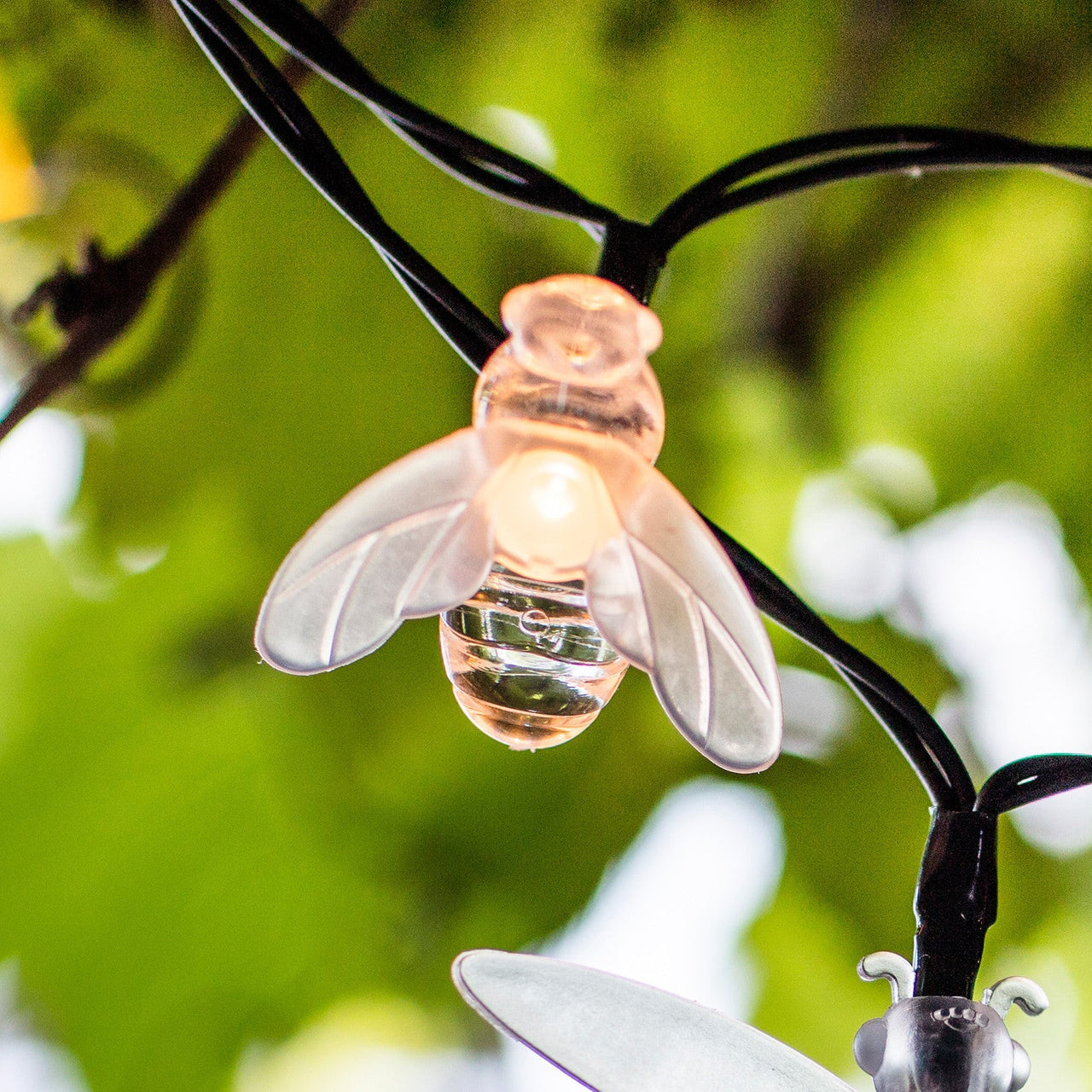 SL18005_solar-firefly-fairy-lights-dragonfly-bee-close_P3.jpg