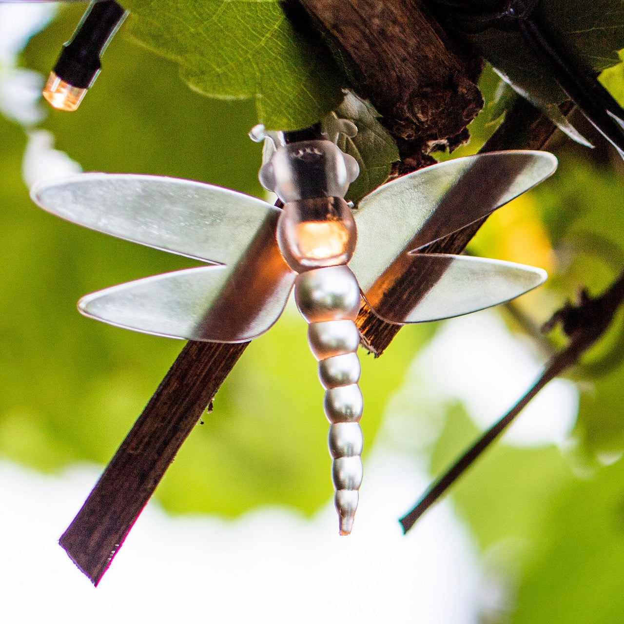 SL18005_solar-firefly-fairy-lights-dragonfly-close_P2.jpg