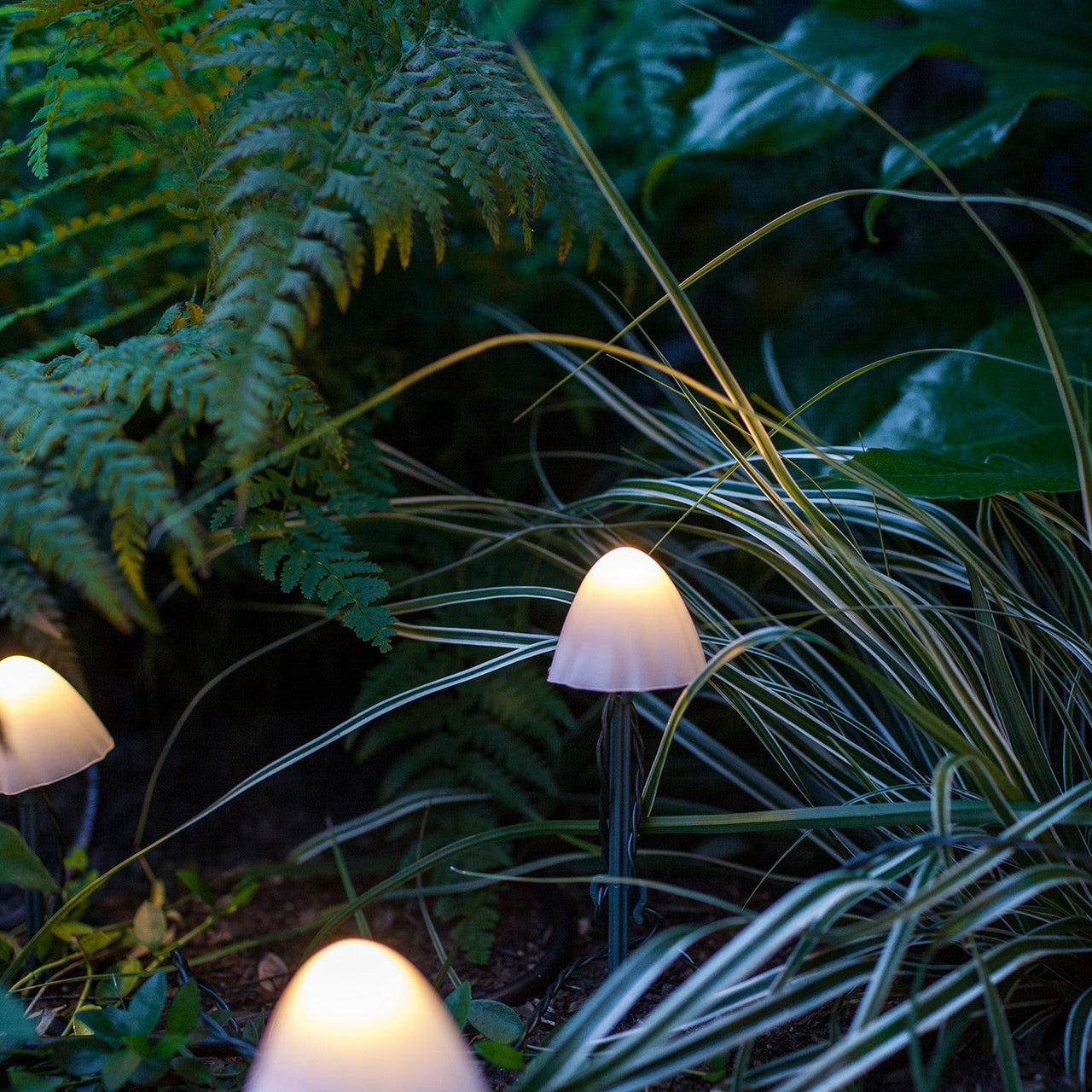 12 Mini Mushroom Solar Stake Lights