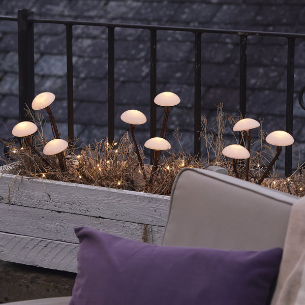 Enchanted Garden Lighting Bundle