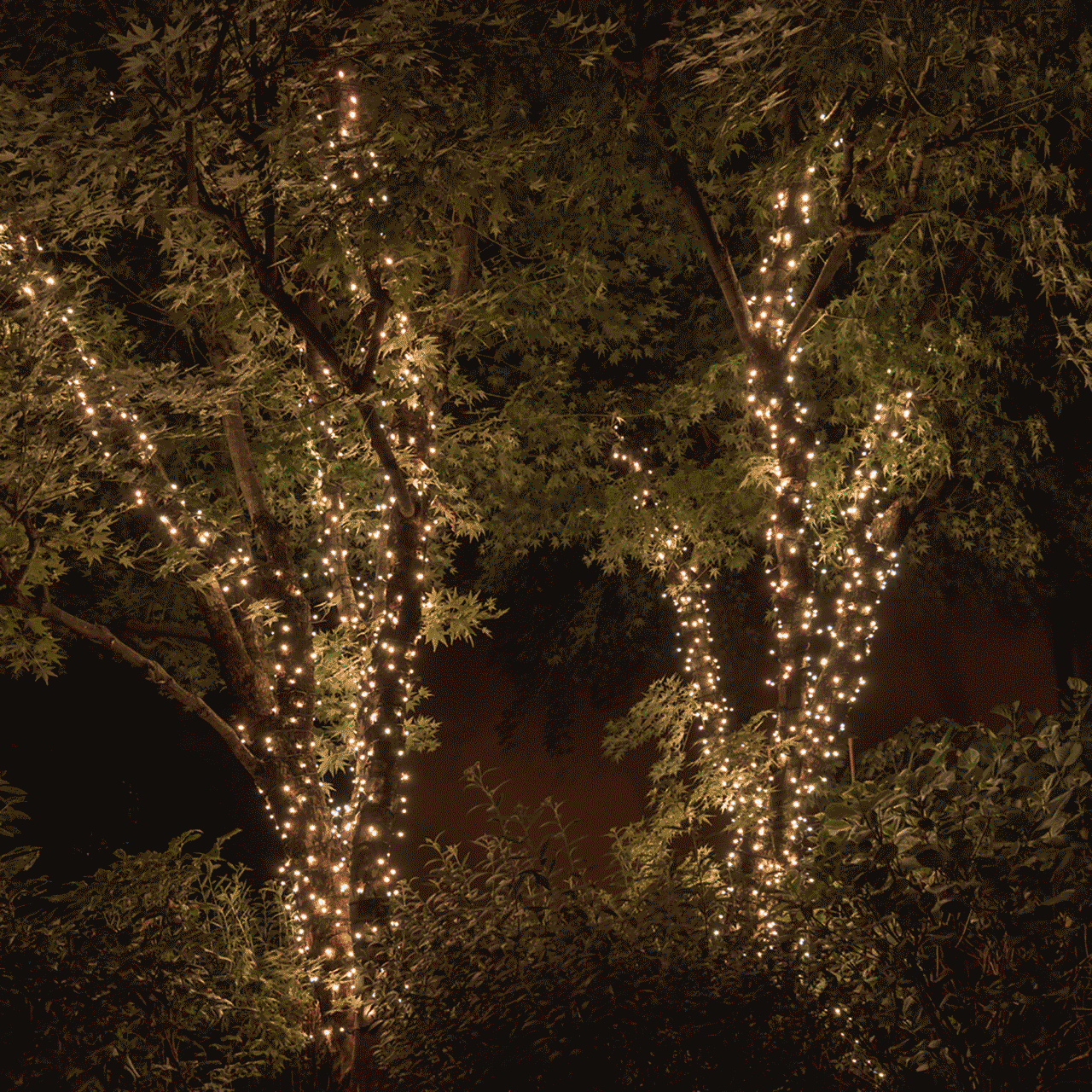 32m 400 LED Twinkly Smart App Controlled String Lights Multi Coloured & White Edition