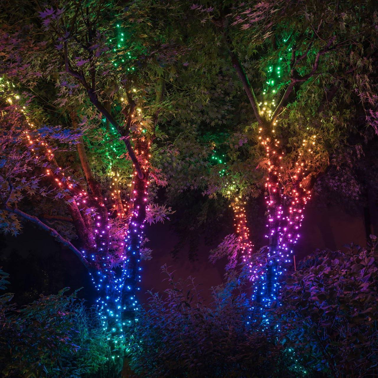 48m 600 LED Twinkly Smart App Controlled String Lights Multi Coloured With Music Device