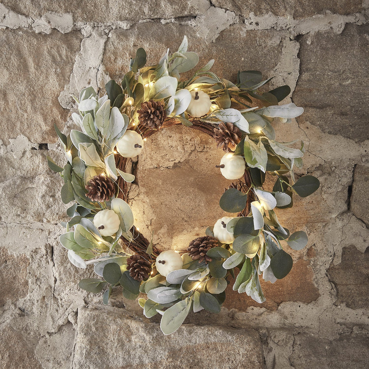 50cm Pumpkin & Pinecone Autumn Wreath Micro Light Bundle