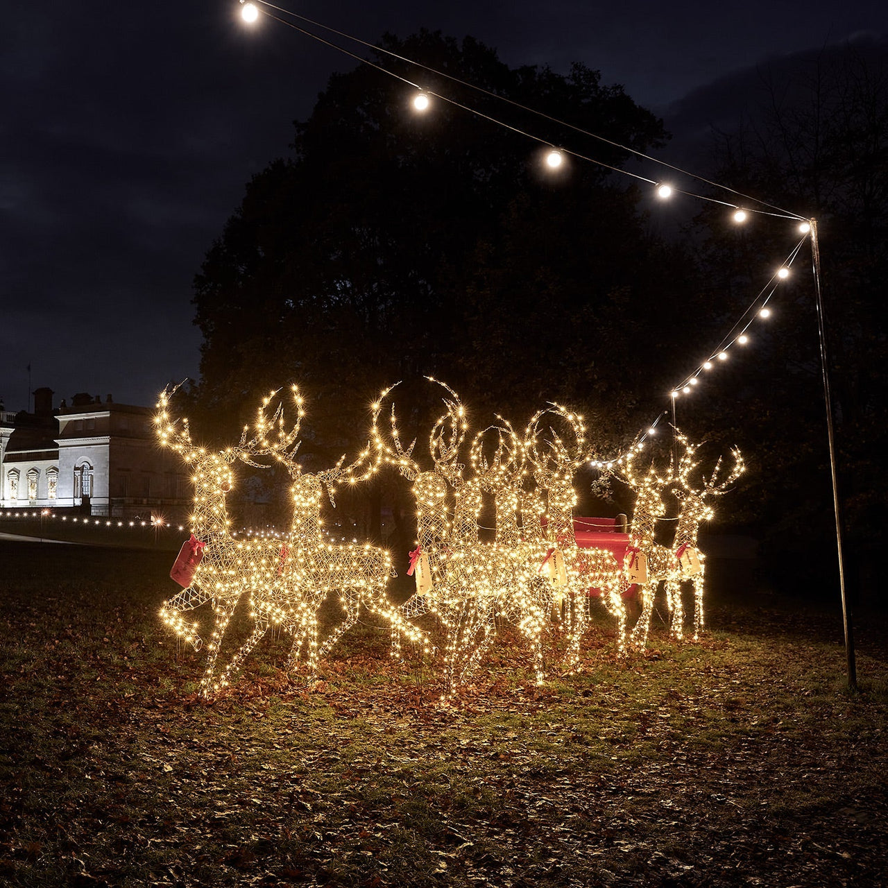 XX1908_Large-Rattan-Stag-Light-Up-Reindeer-Herd-Harewood-House_2000x2000_c8a1fc50-ef62-41c7-8eab-3bd79f7297e1.jpg