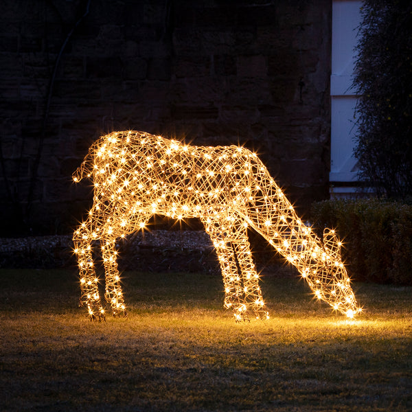 Set of 8 Studley Rattan Light Up Reindeer