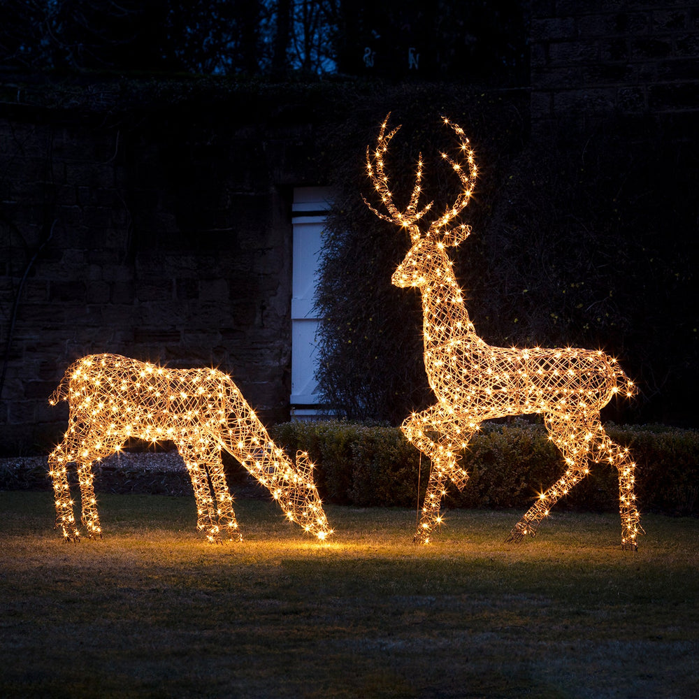 1m Studley Rattan Doe Light Up Reindeer 24v
