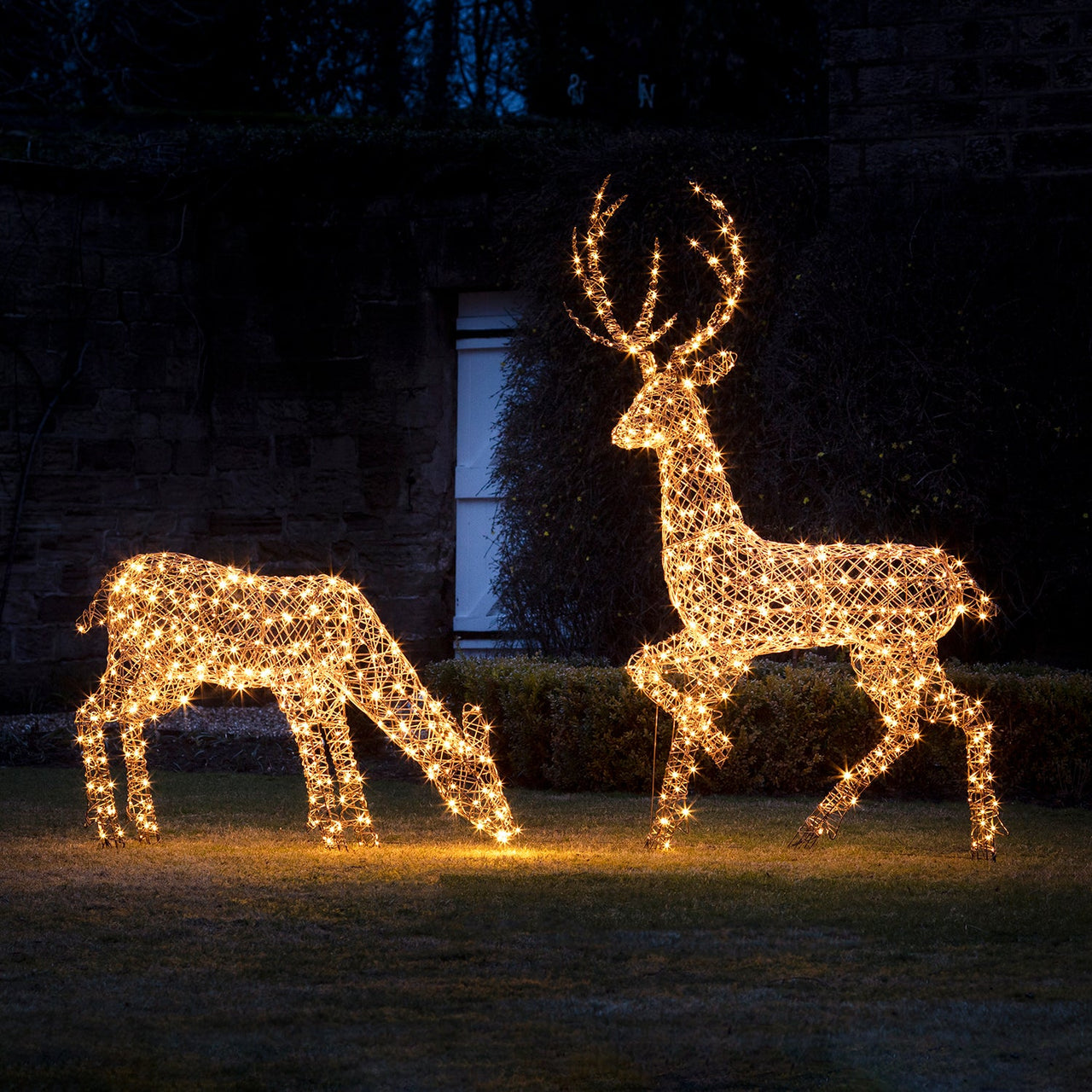 1m Studley Rattan Doe Light Up Reindeer 24v