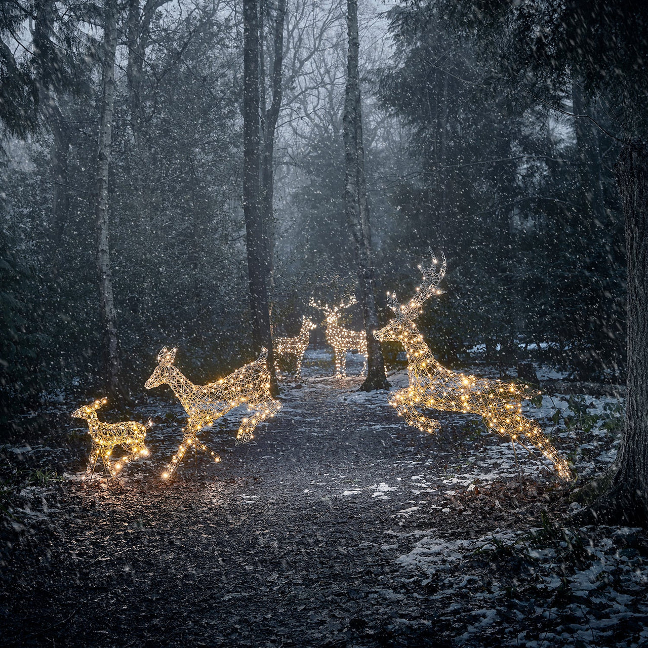 Large Harlow Rattan Stag & Doe Dual Colour LED Light Up Reindeer Duo