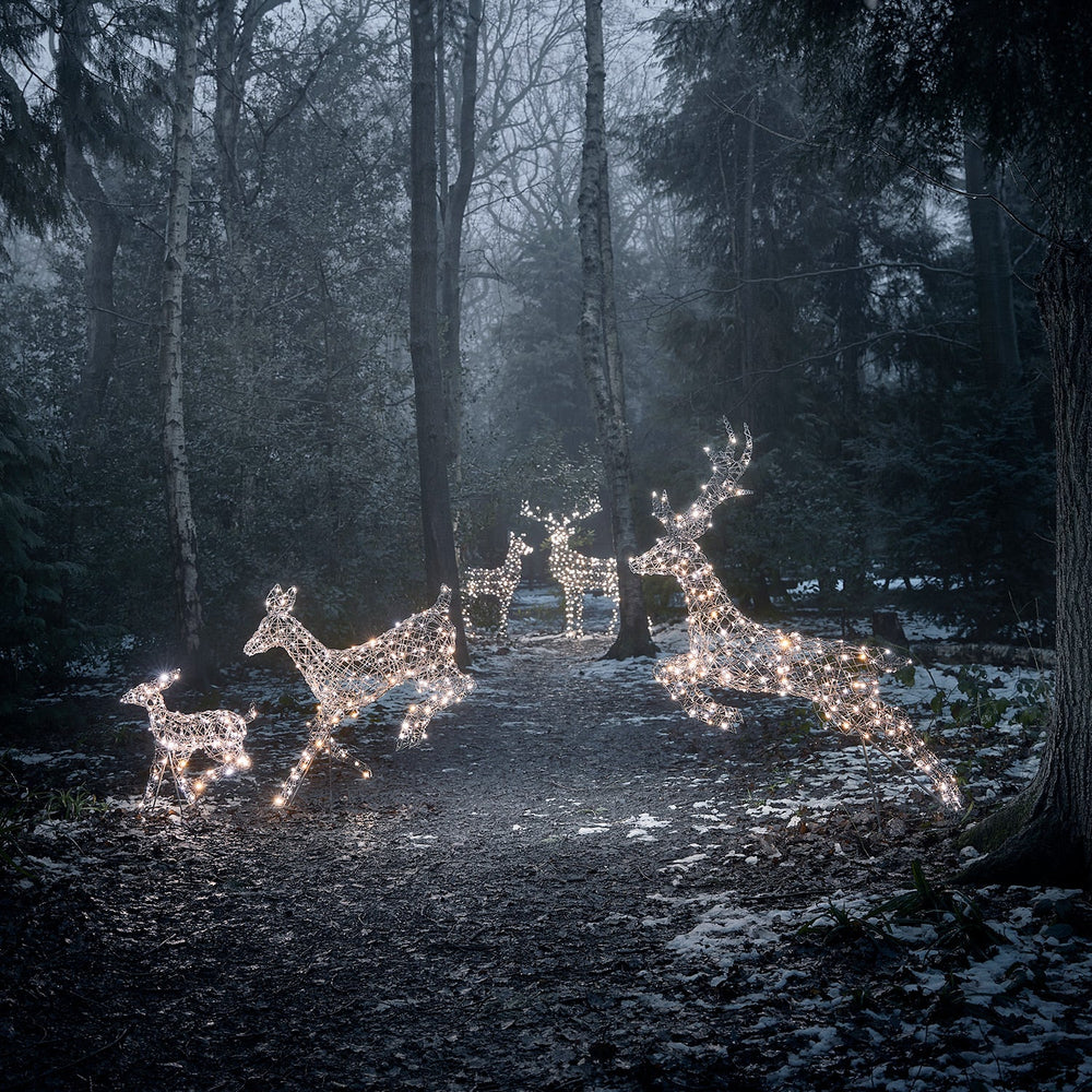 Set of 5 Harlow Rattan Dual Colour LED Light Up Reindeer Range