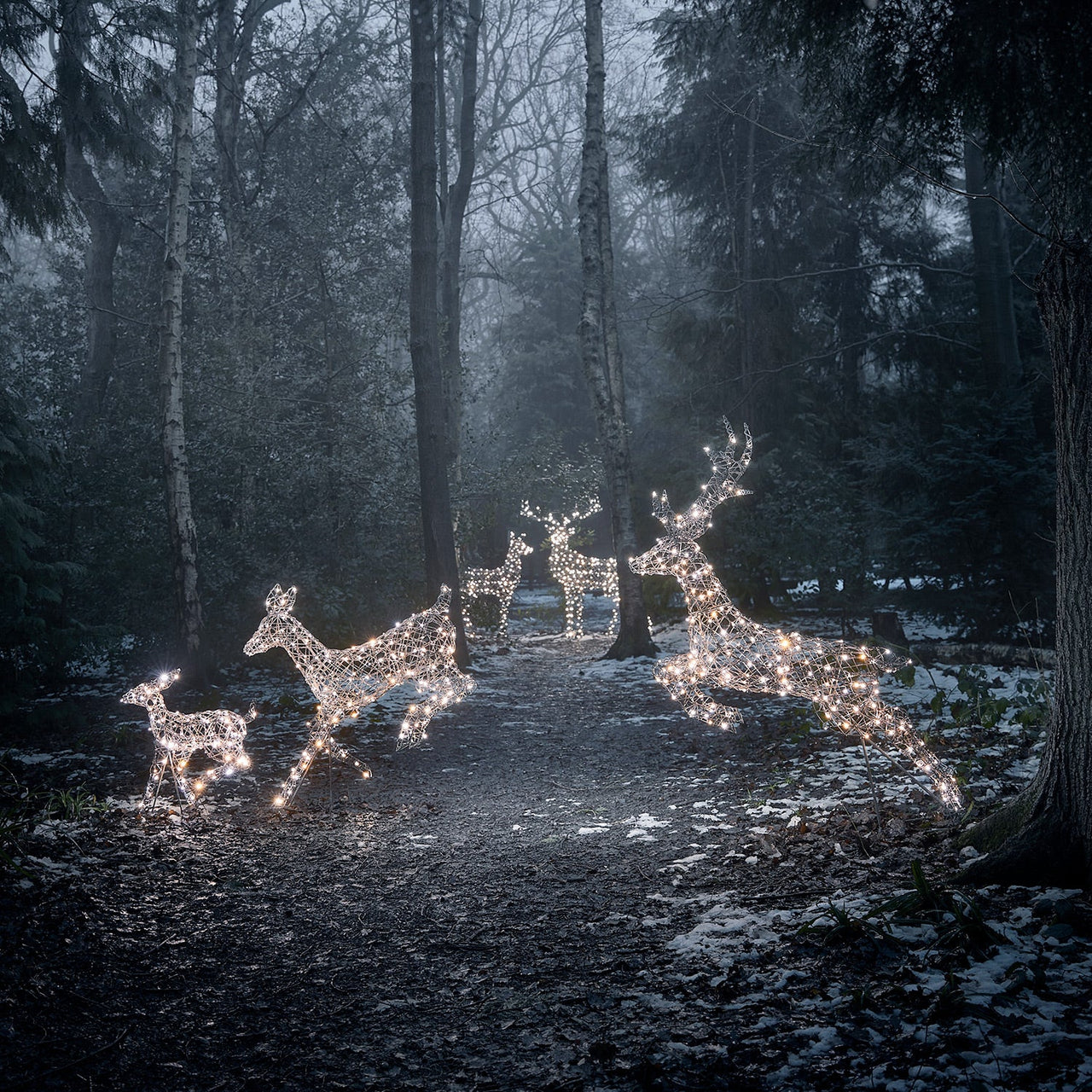 Set of 5 Harlow Rattan Dual Colour LED Light Up Reindeer Range