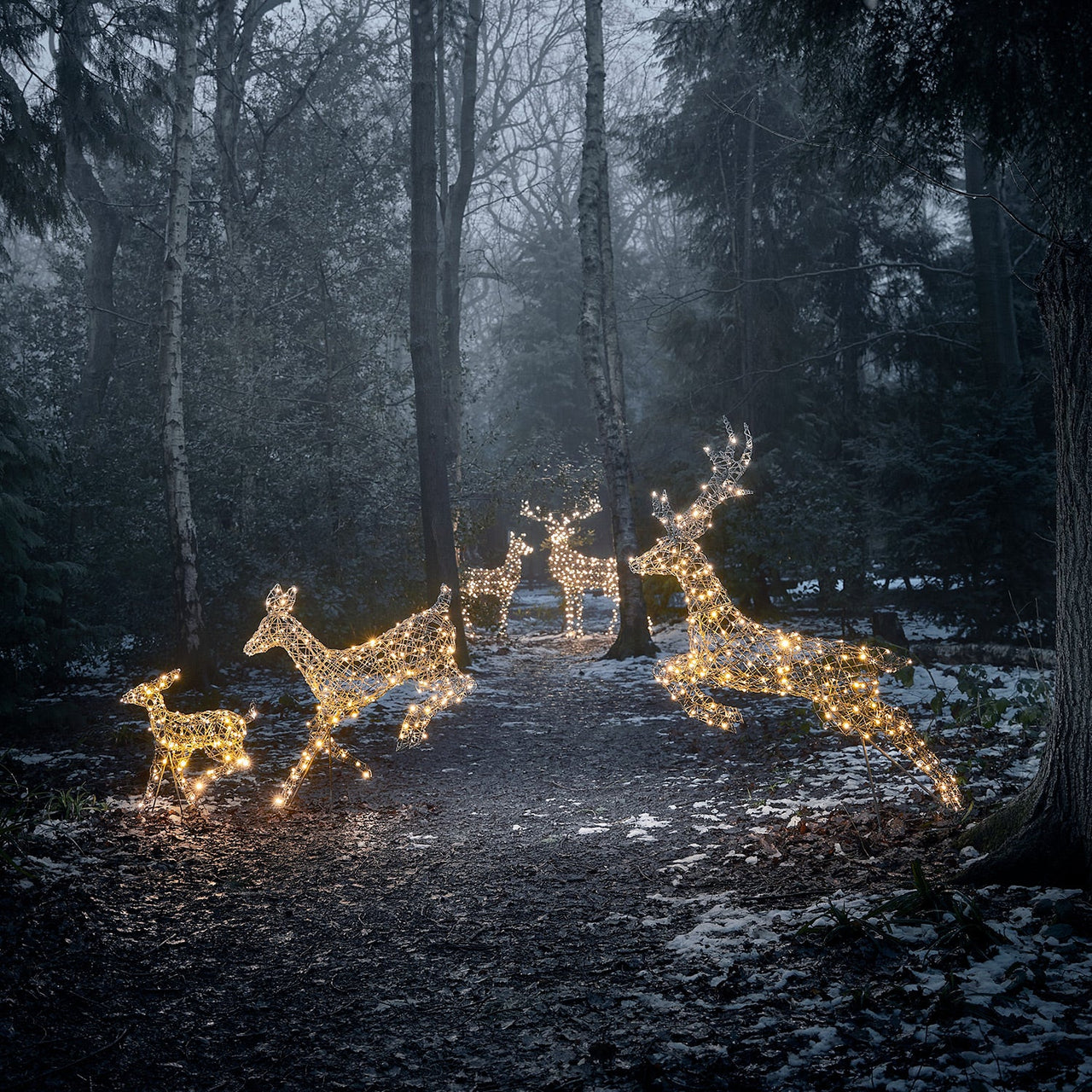 Set of 5 Harlow Rattan Dual Colour LED Light Up Reindeer Range