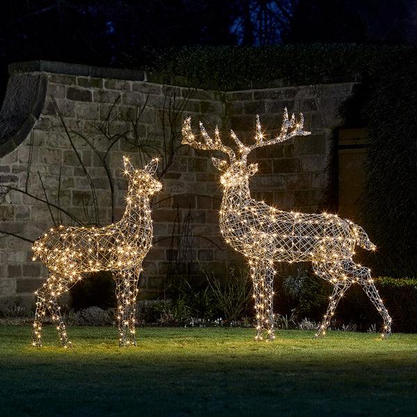 Large Harlow Rattan Stag Dual Colour LED Light Up Reindeer 24v