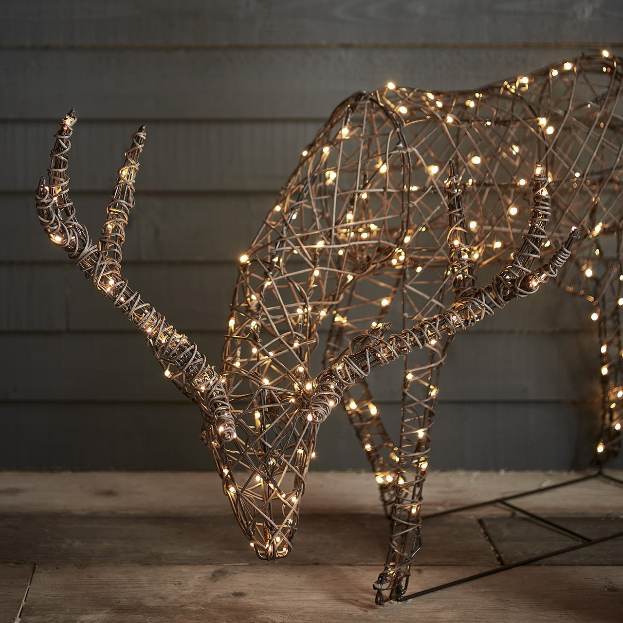 XX2208_Studley-Rattan-Grazing-Stag-Light-Up-Reindeer-Close.jpg